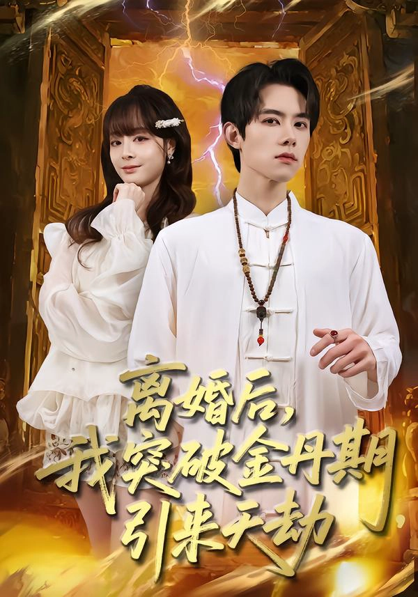 离婚后，我突破金丹期，引来天劫