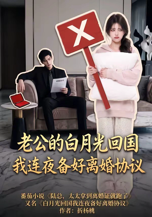 老公的白月光回国我连夜备好离婚协议