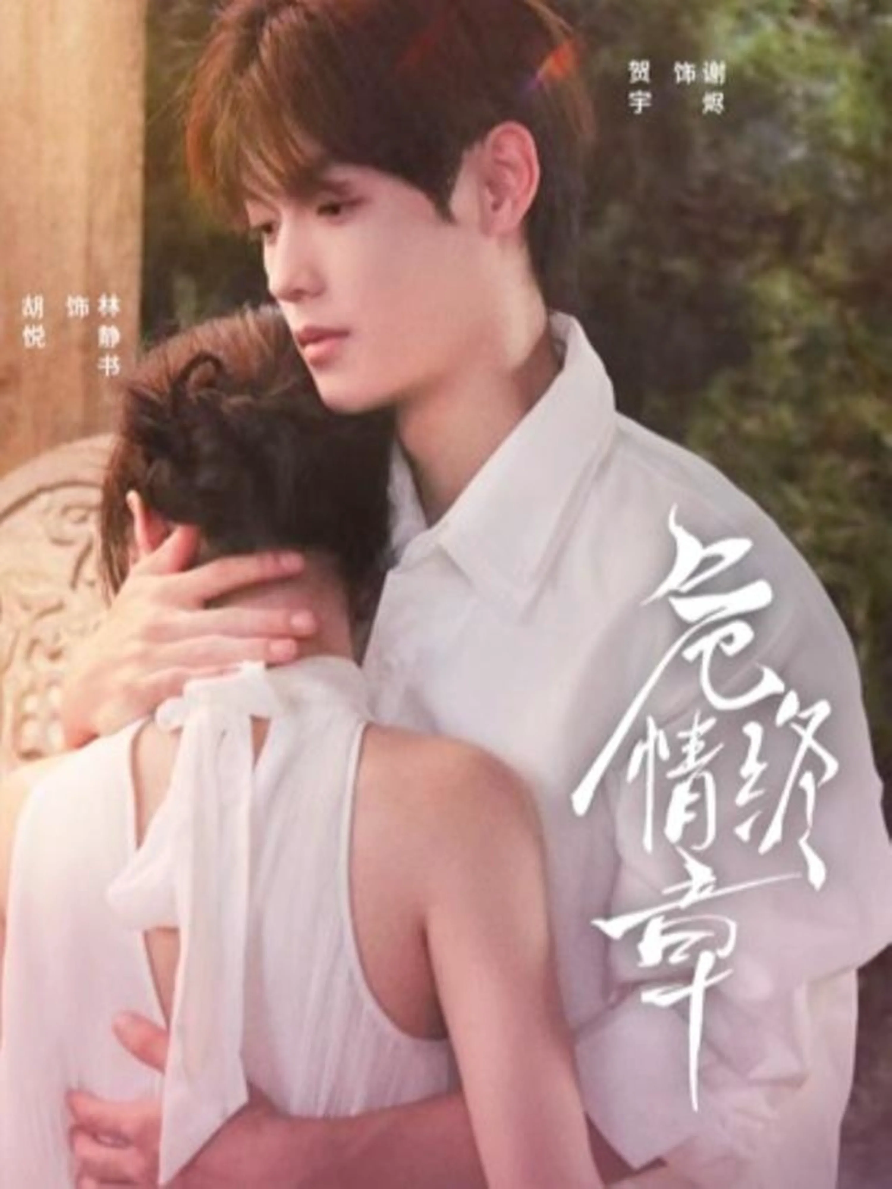 危情终章
