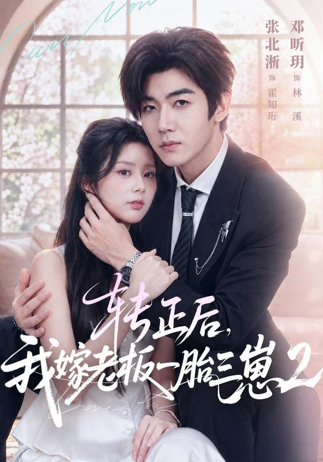 转正后，我嫁老板一胎三崽第二部（1080P）
