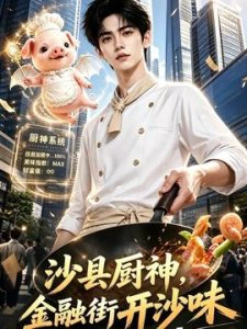 沙县厨神，金融街开沙味