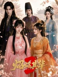 炤炤其华第2季