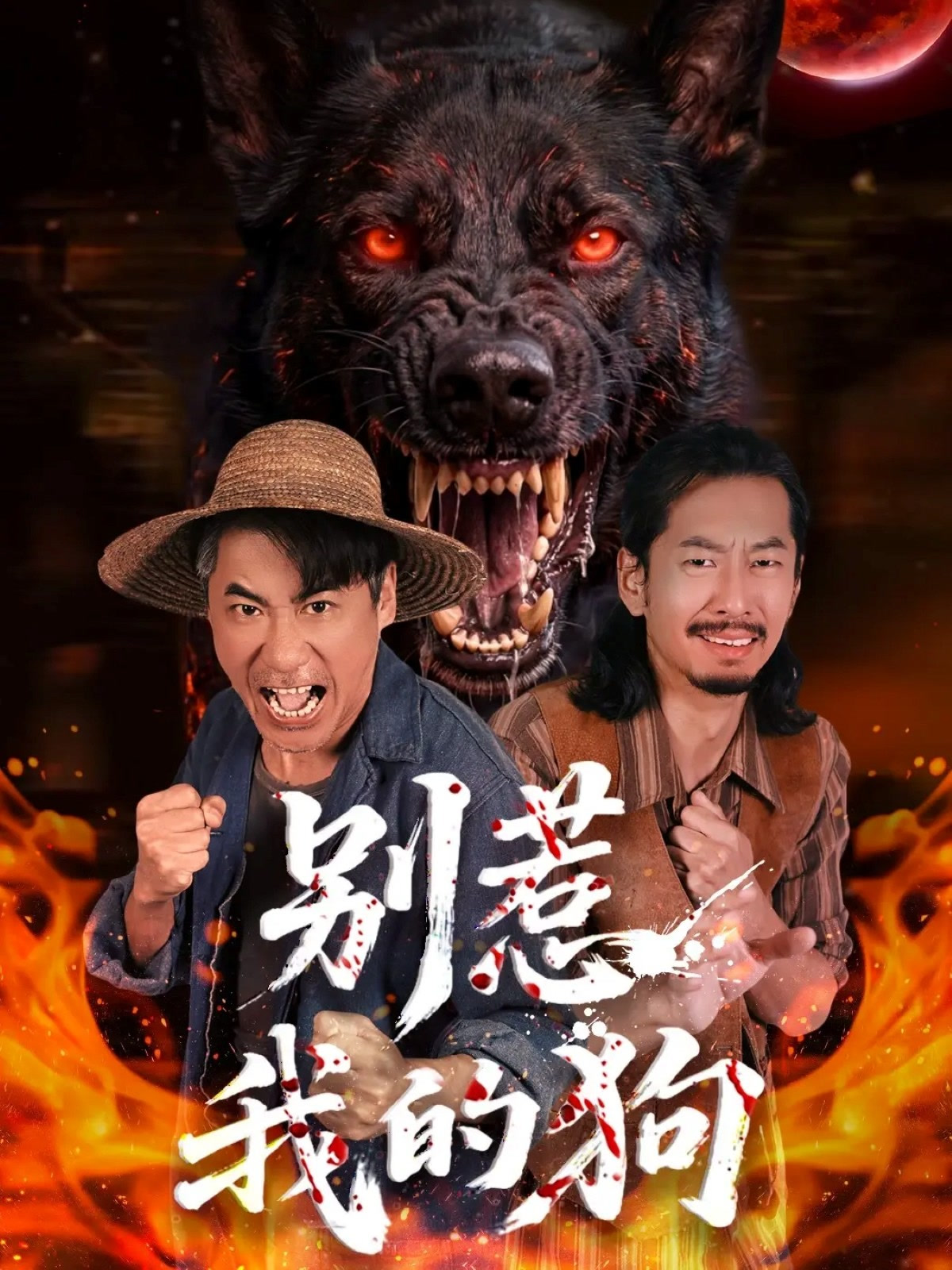 别惹我的狗