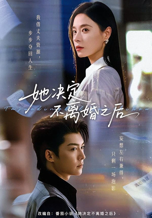 她决定不离婚之后（1080P）