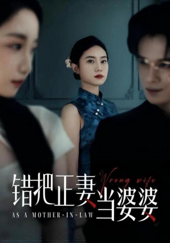 错把正妻当婆婆