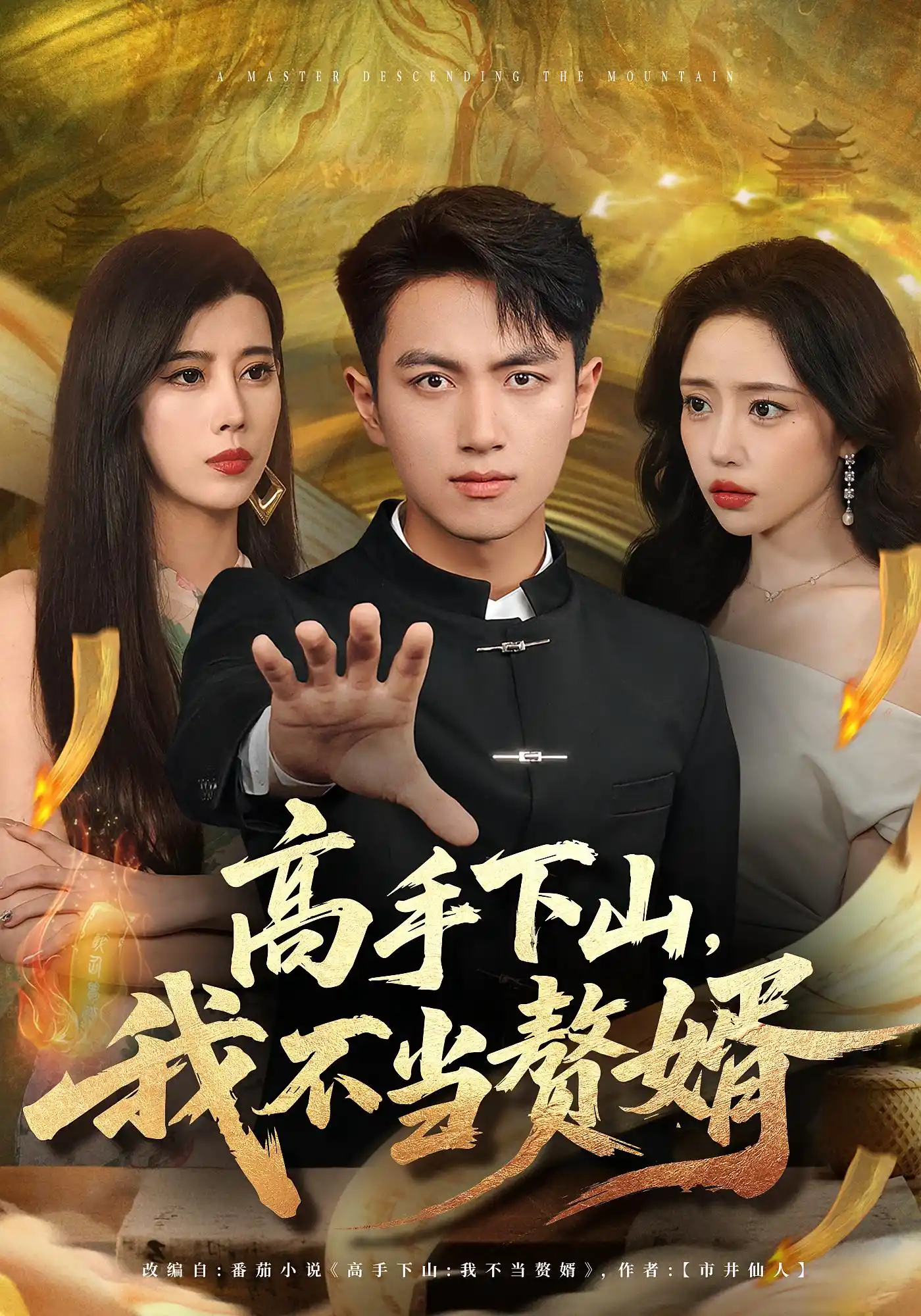 高手下山，我不当赘婿