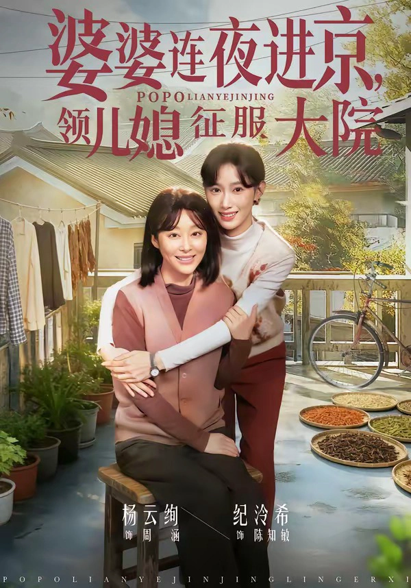 婆婆连夜进京，领儿媳征服大院