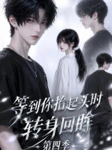 等到你抬起头时转身回眸（第四季）