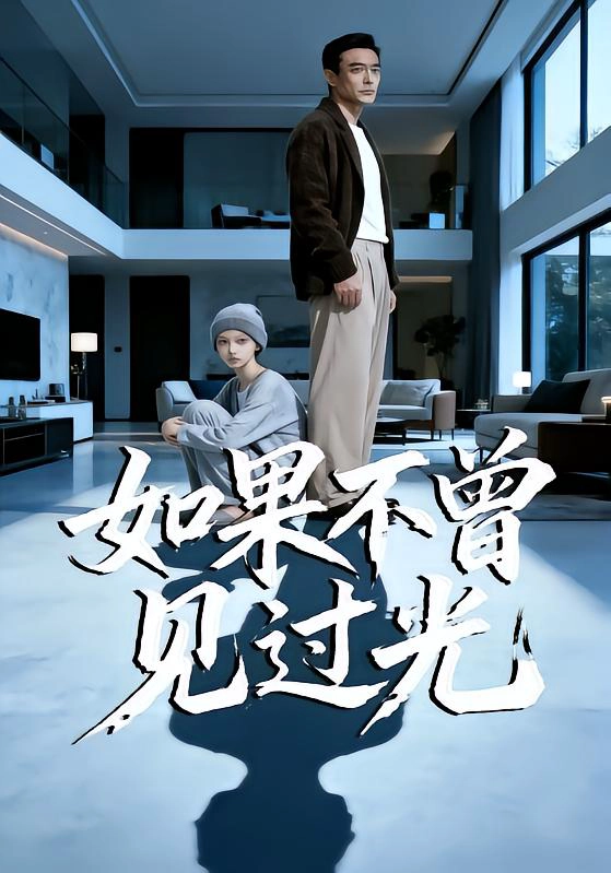 如果不曾见过光
