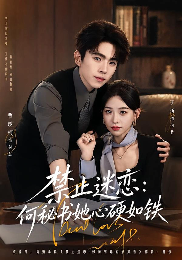 禁止迷恋：何秘书她心硬如铁（1080P）