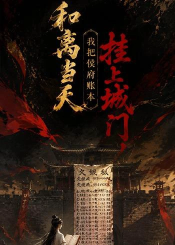 和离当天.我把侯府账本挂上城门
