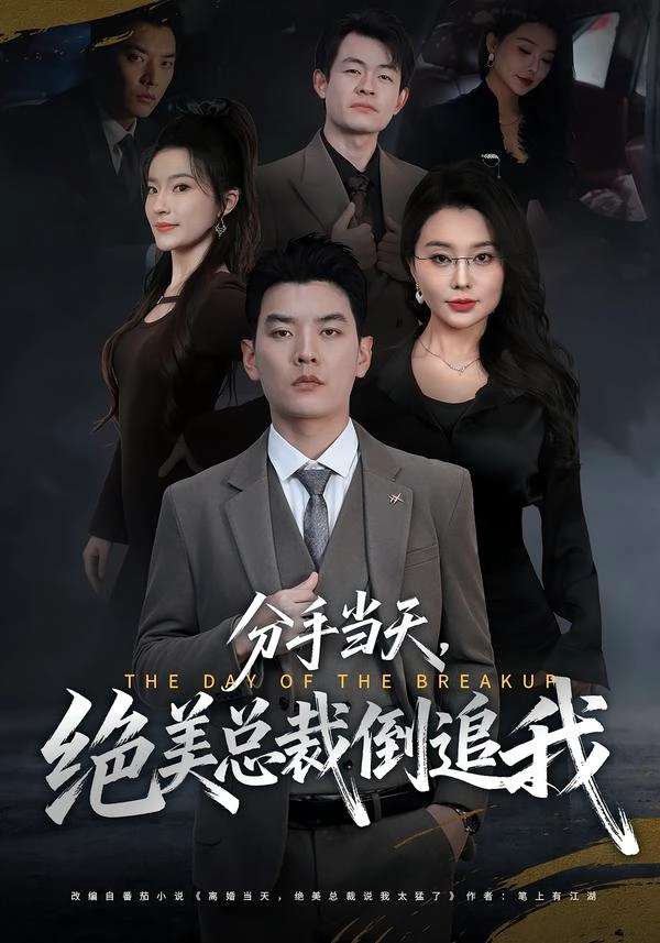分手当天，绝美总裁倒追我