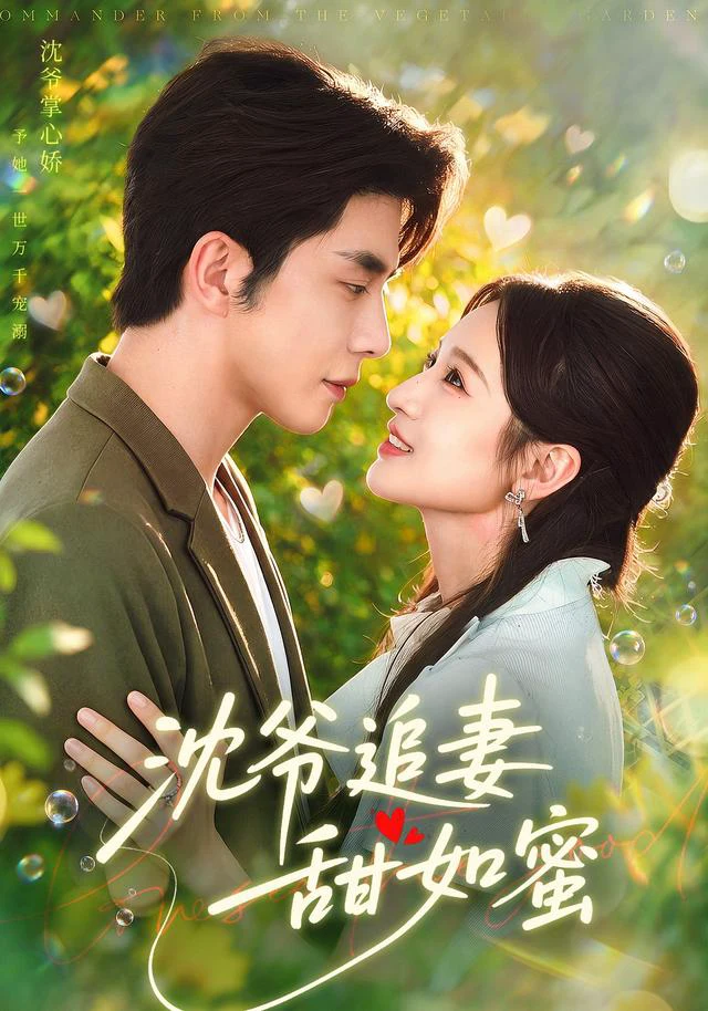 沈爷追妻甜如蜜