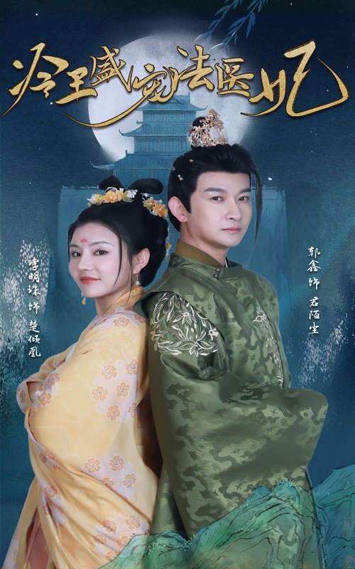 新版：冷王盛宠法医妃