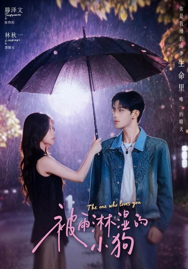被雨淋湿的小狗（1080P）