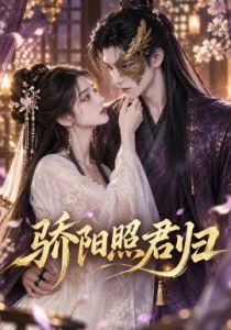 骄阳照君归