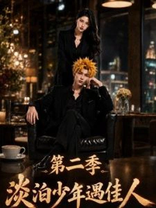 淡泊少年遇佳人第二季