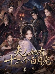 夫人她有十二个白月光第一季