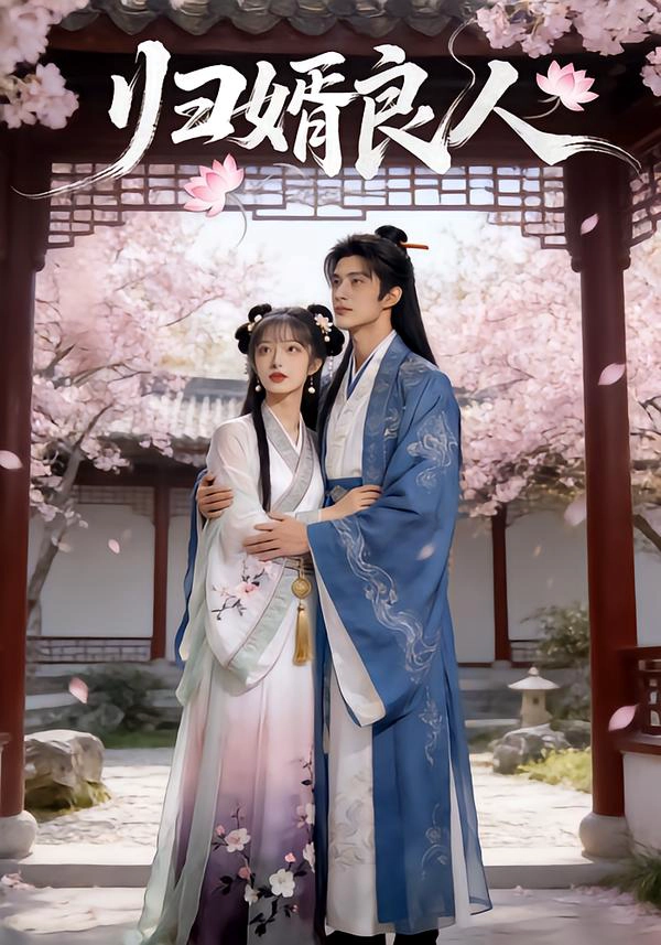 归婿良人