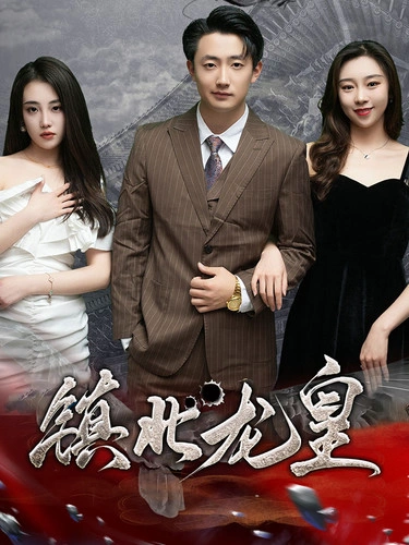 镇北龙帅
