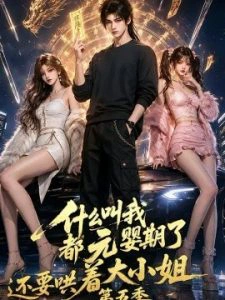 什么叫我都元婴期了还要哄着大小姐第五季