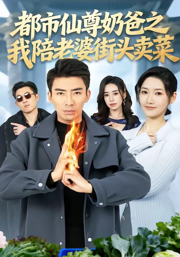 都市仙尊奶爸之我陪老婆街头卖菜（男）