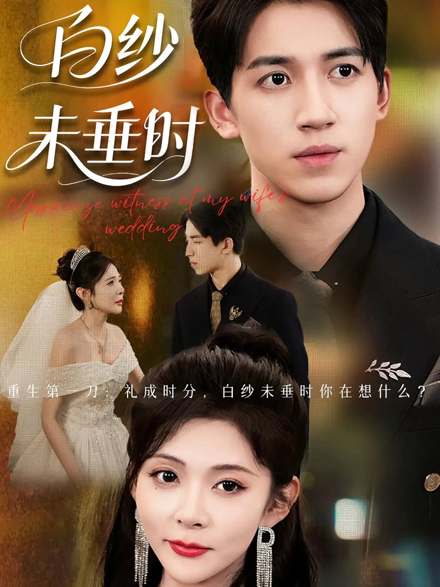 老婆婚礼，我当证婚人&老婆婚礼我当证婚人&白纱未垂时