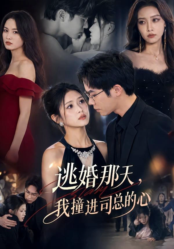 逃婚那天，我撞进司总的心