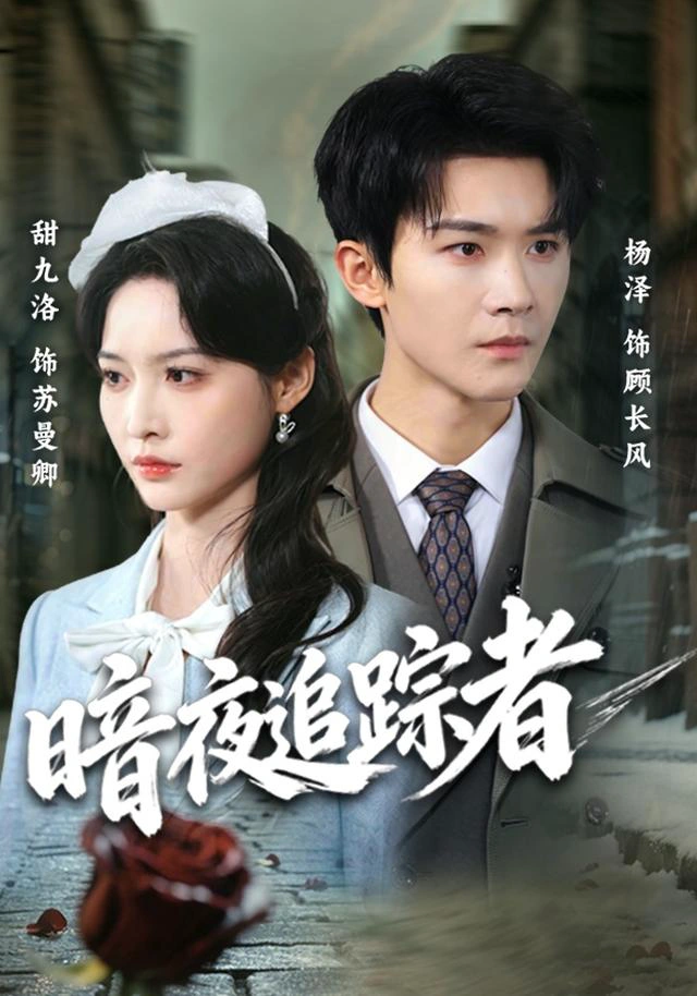 暗夜追踪者（1080P）