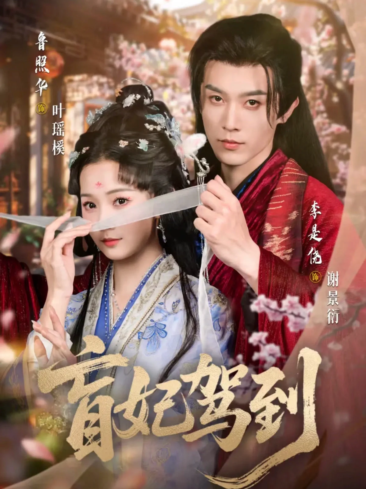 盲妃驾到