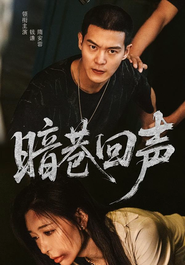 暗巷回声