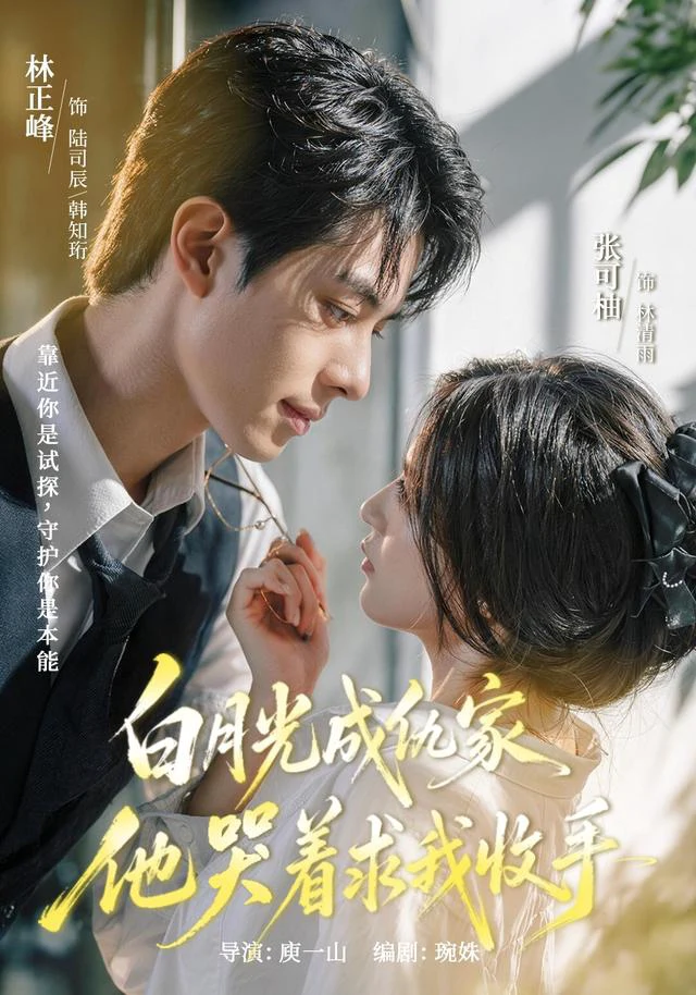 白月光成仇家，他哭着求我收手（1080P）