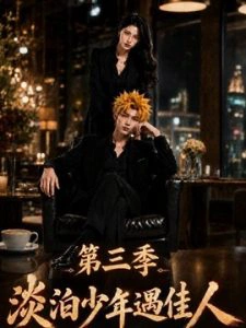 淡泊少年遇佳人第三季