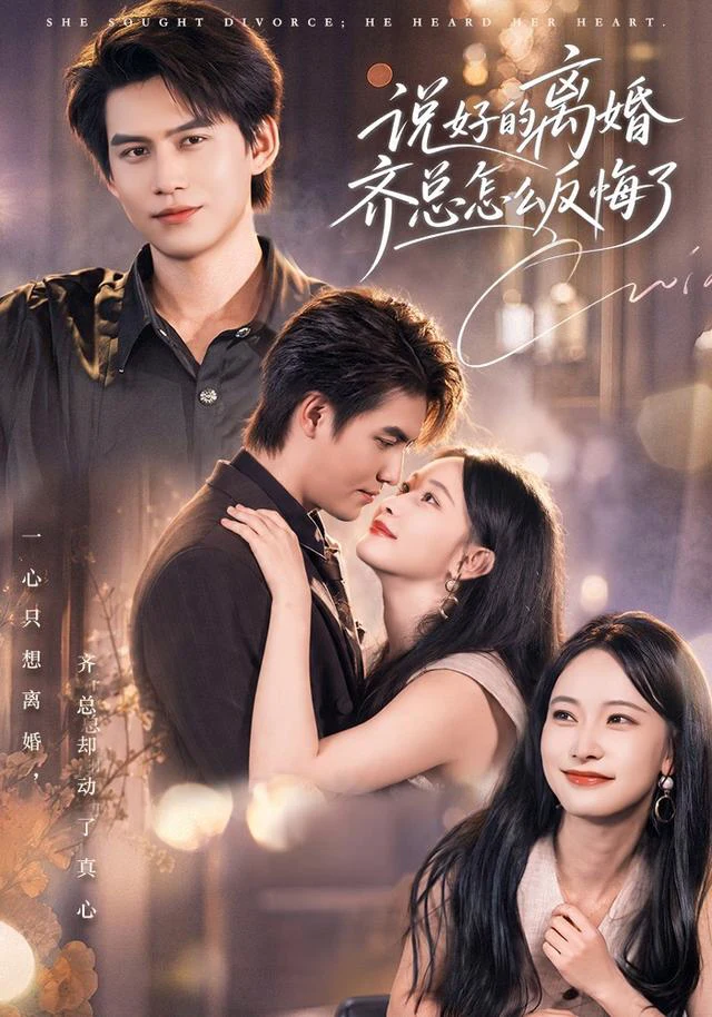 说好的离婚齐总怎么反悔了