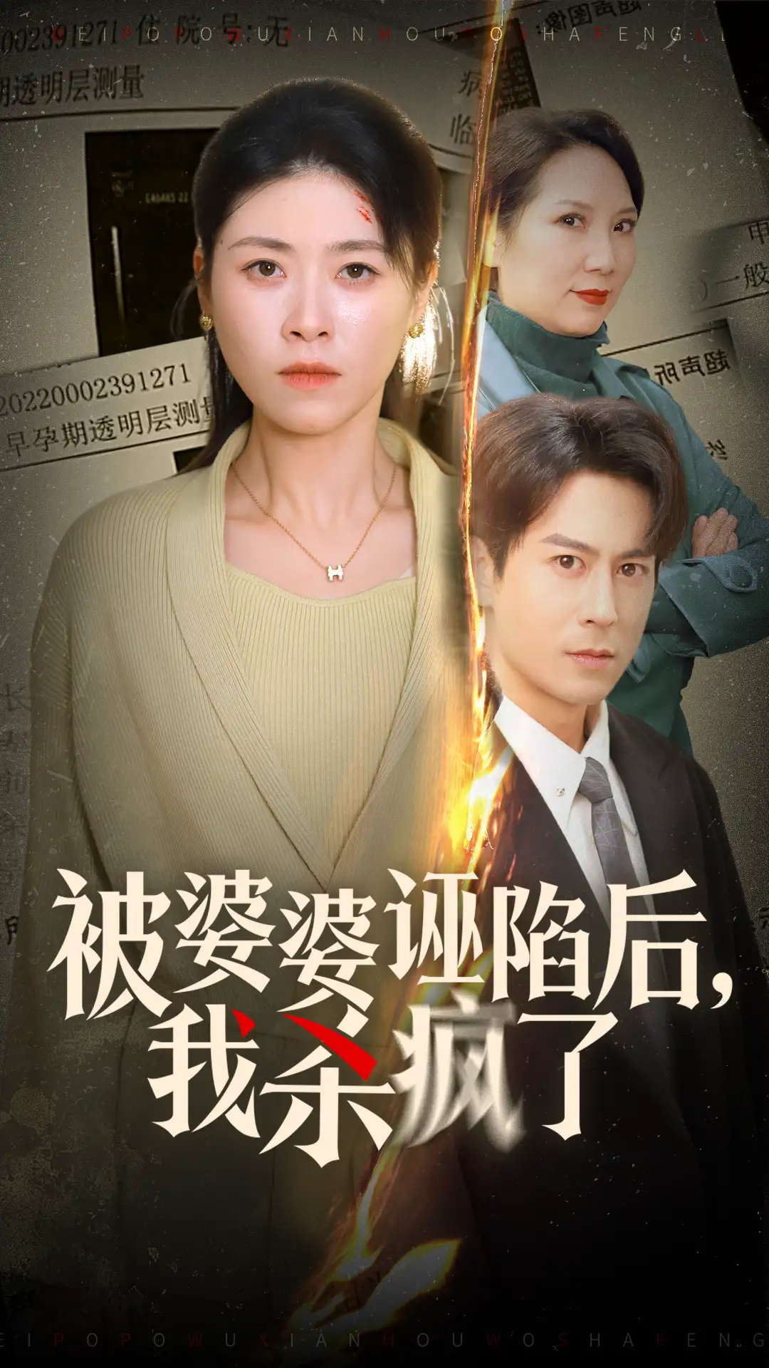被婆婆诬陷后我杀疯了