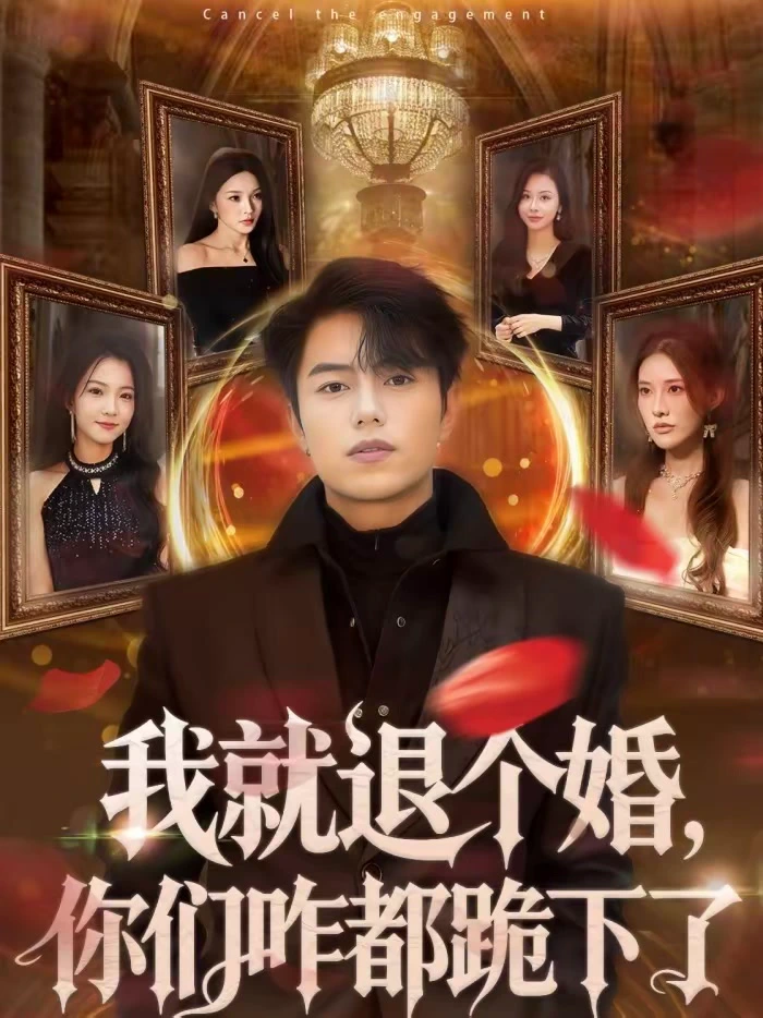 我就退个婚，你们咋都跪下了