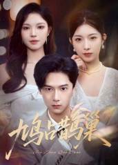 顶流夫人的致命陷阱