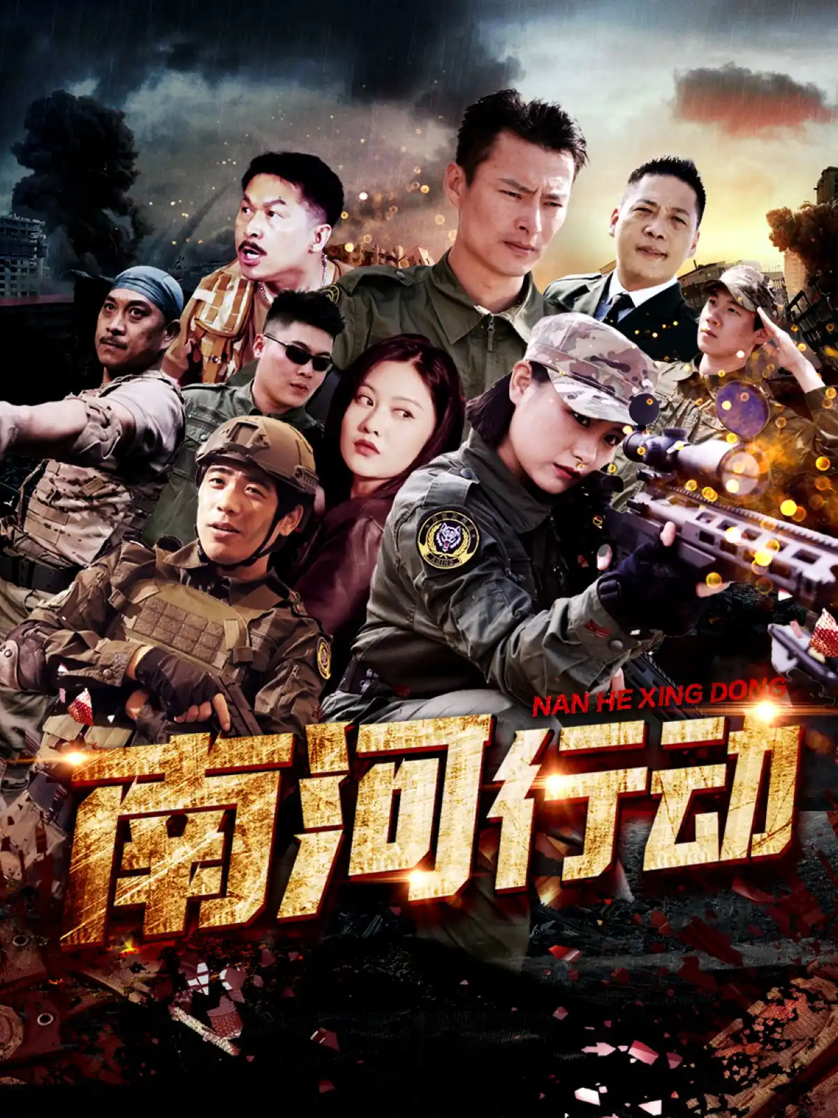 南河行动