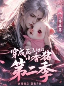 穿成反派手里的小香猪第二季
