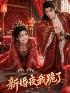 新婚夜我跪了