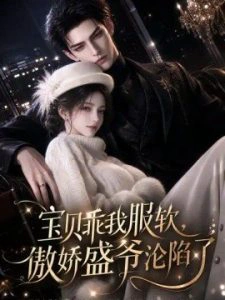 宝贝乖我服软，傲娇盛爷沦陷了