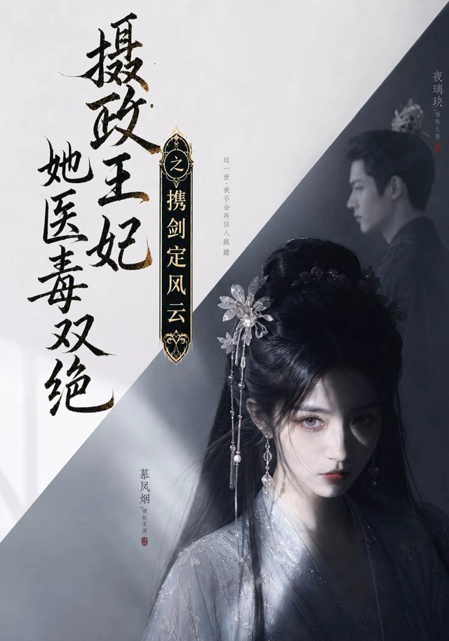 摄政王妃她医毒双绝，携剑定风云