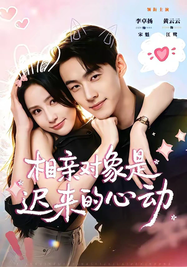 相亲对象是迟来的心动（1080P）