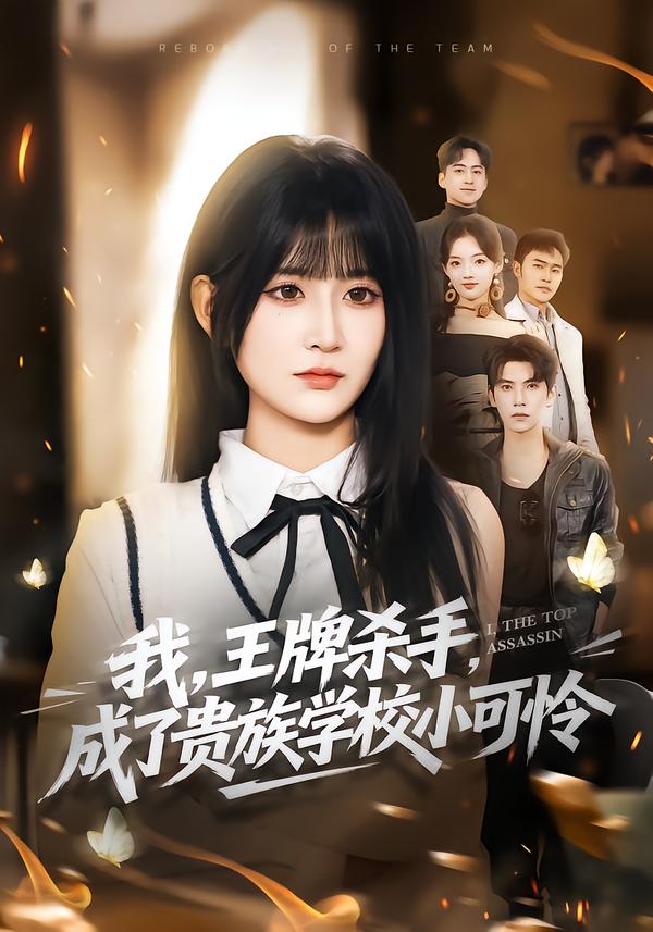 我王牌杀手成了贵族学校小可怜
