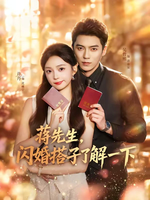 蒋先生，闪婚搭子了解一下（1080P）