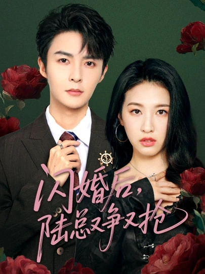 闪婚后，陆总又争又抢