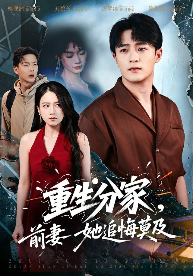 重生分家，前妻她追悔莫及