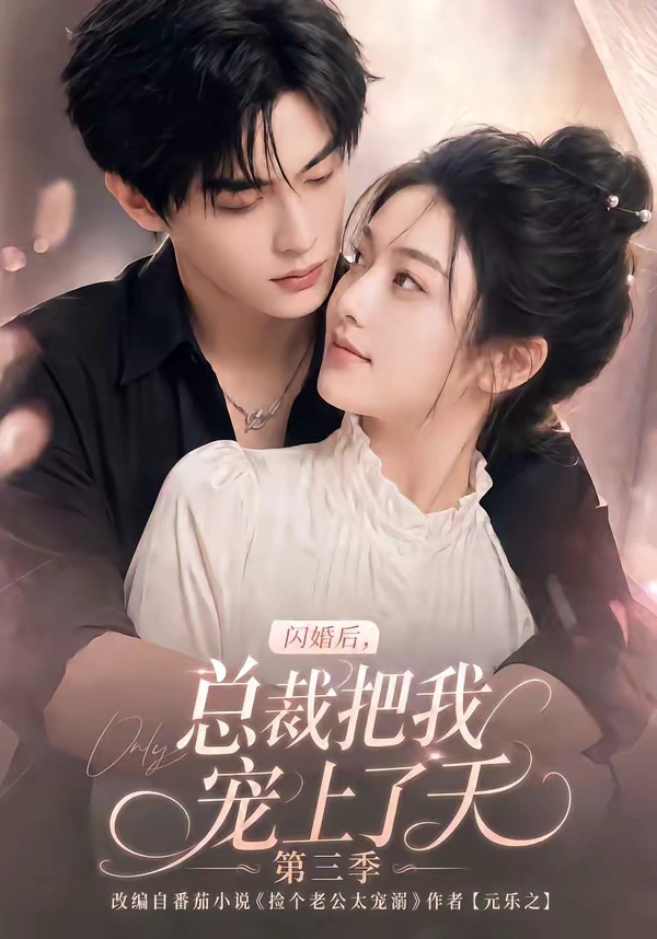 闪婚后，总裁把我宠上了天第三季