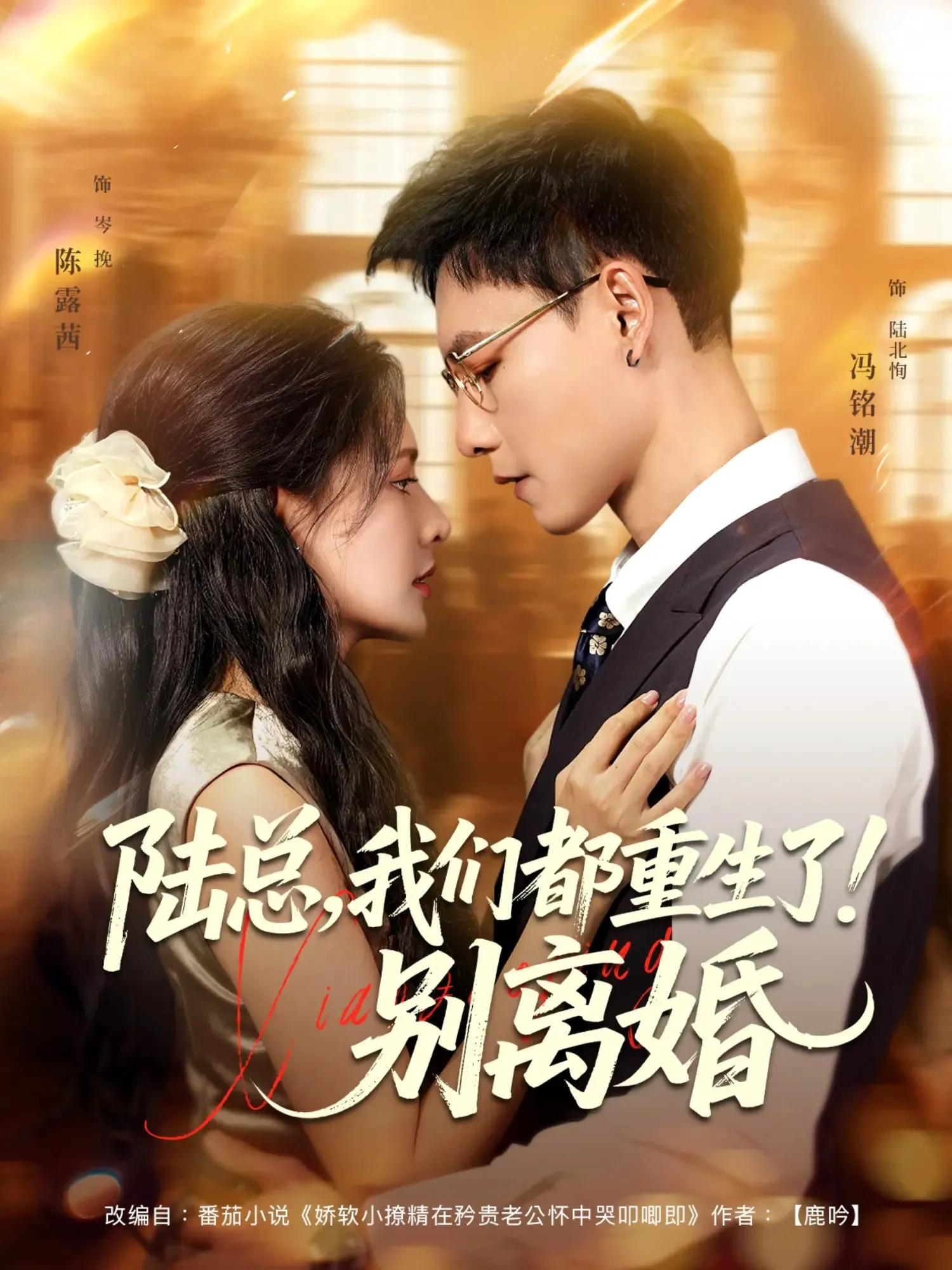 陆总我们都重生了！别离婚&陆总我们都重生了别离婚