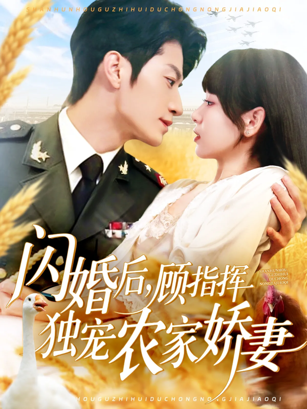 闪婚后，顾指挥独宠农家娇妻